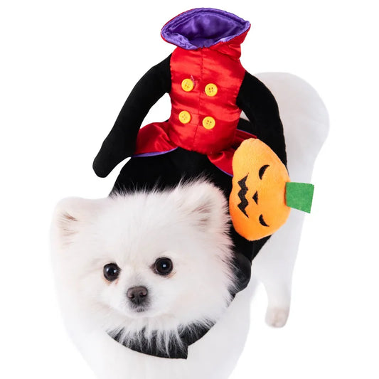 Halloween Pet Transformation Costume