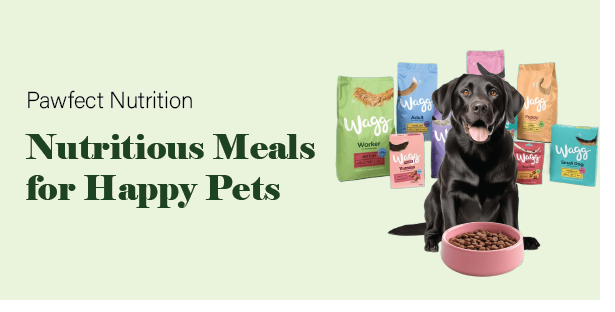 Healthy Pet Meals