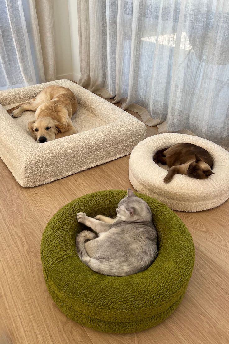Cozy Plush Round Pet Bed
