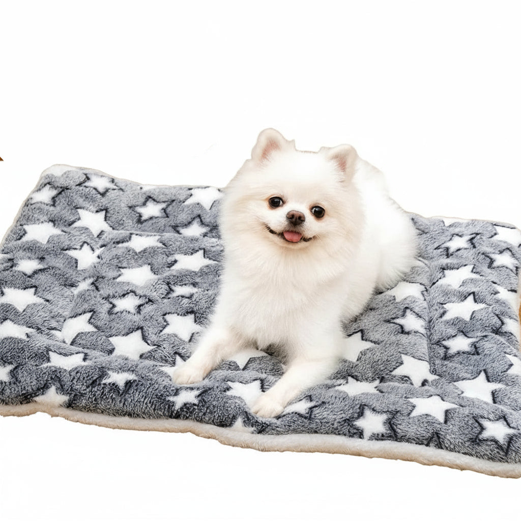 Blanket Pet Warm Mat