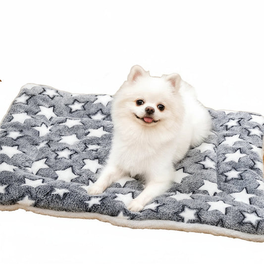 Blanket Pet Warm Mat